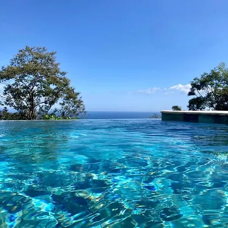 Little Paradise